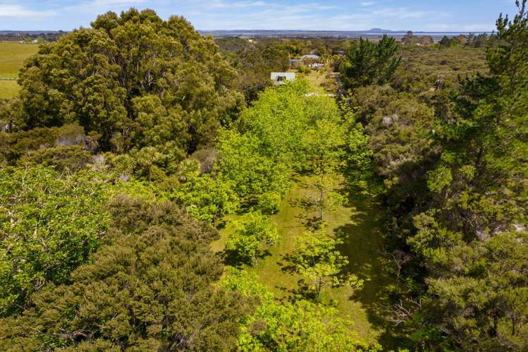 Arawhata Road Kaingaroa_21