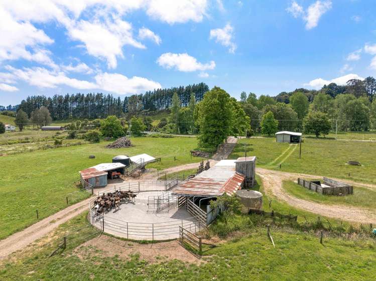 50 Franklin Road Waihi_20