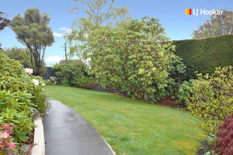 14 Kenilworth Street Waverley_22