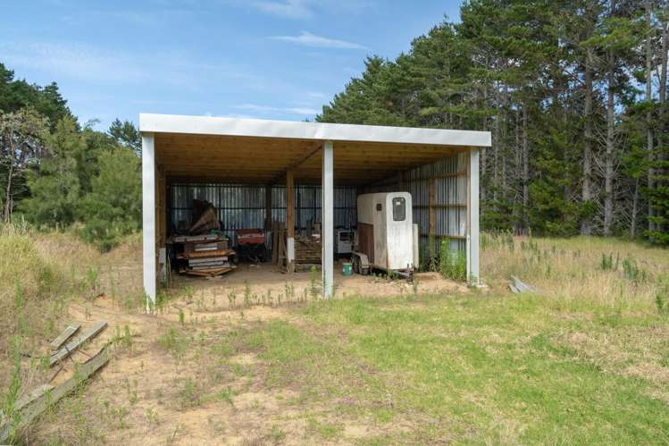 373 Kimberley Road Ngataki_8