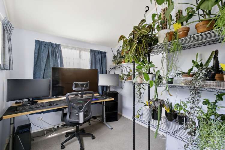 19a Bassett Road Johnsonville_12