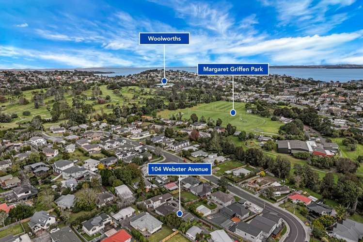 104 Webster Avenue Mt Roskill_27