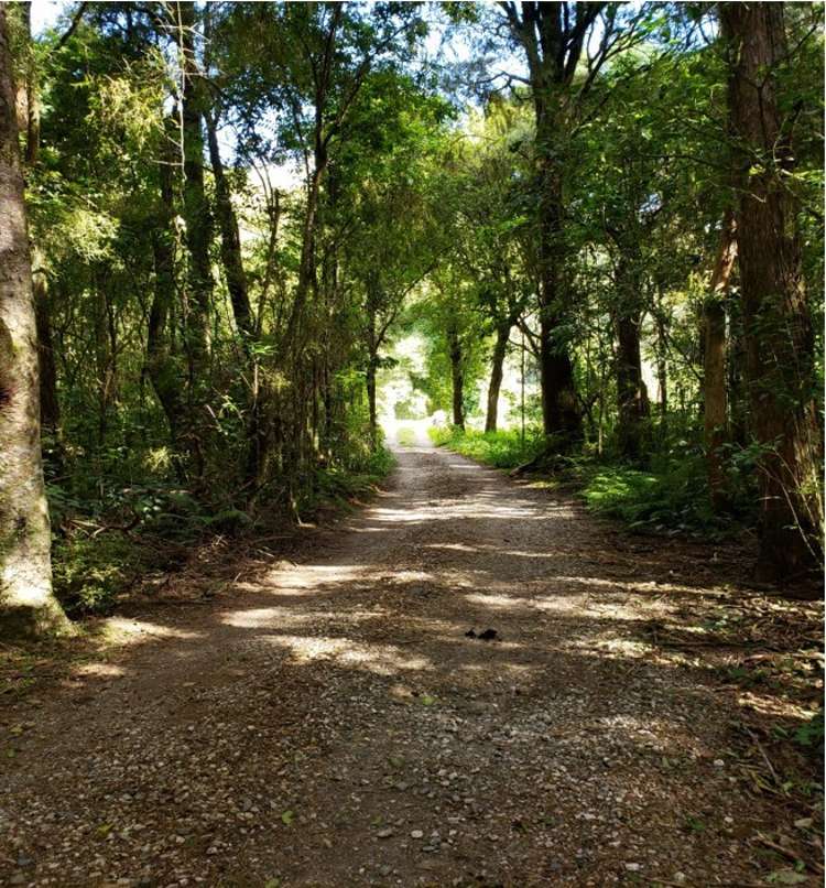 275 Riwaka Valley Road Motueka_2