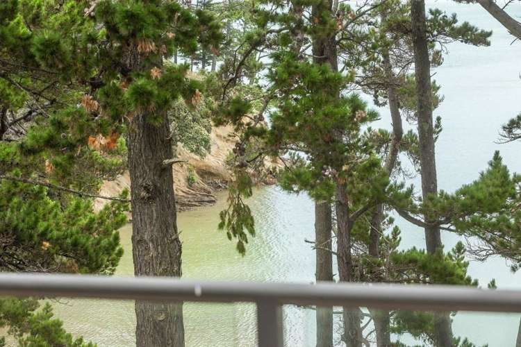 46 Rosecamp Road Beach Haven_13