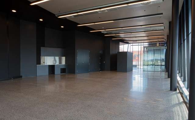 109 Dominion Rd Mt Eden_2