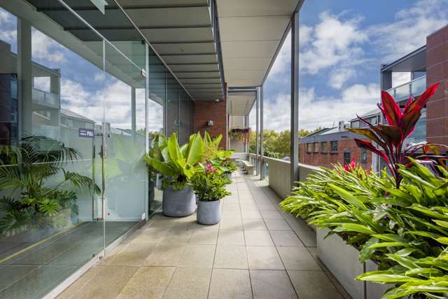 22 Centre Street Freemans Bay_1