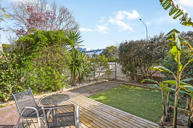 288 Manukau Road Epsom_13