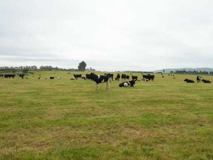 249 Ashley Downs Road Clinton and Surrounds_9