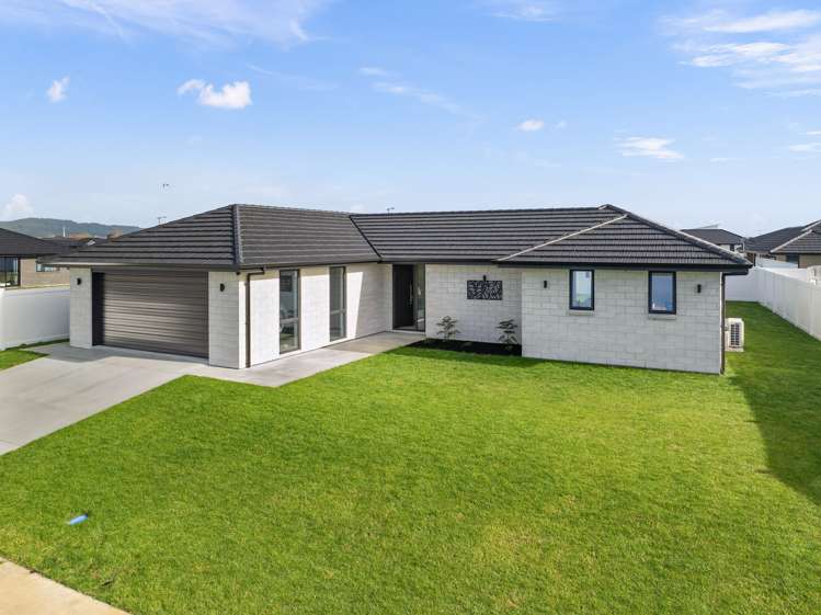 8 Te Taniwha Road One Tree Point_0