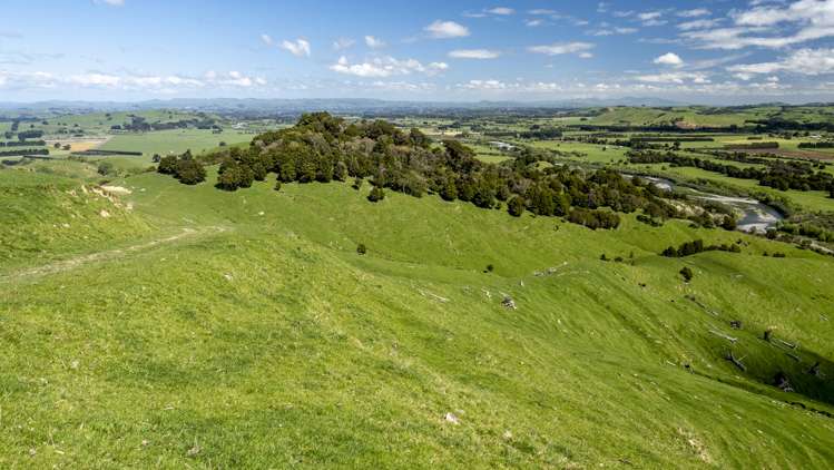 96 Bruces Road Sefton_14