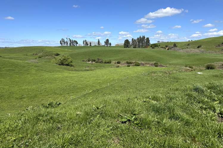 204 Mangatutu Road RD2 Maihiihi_12