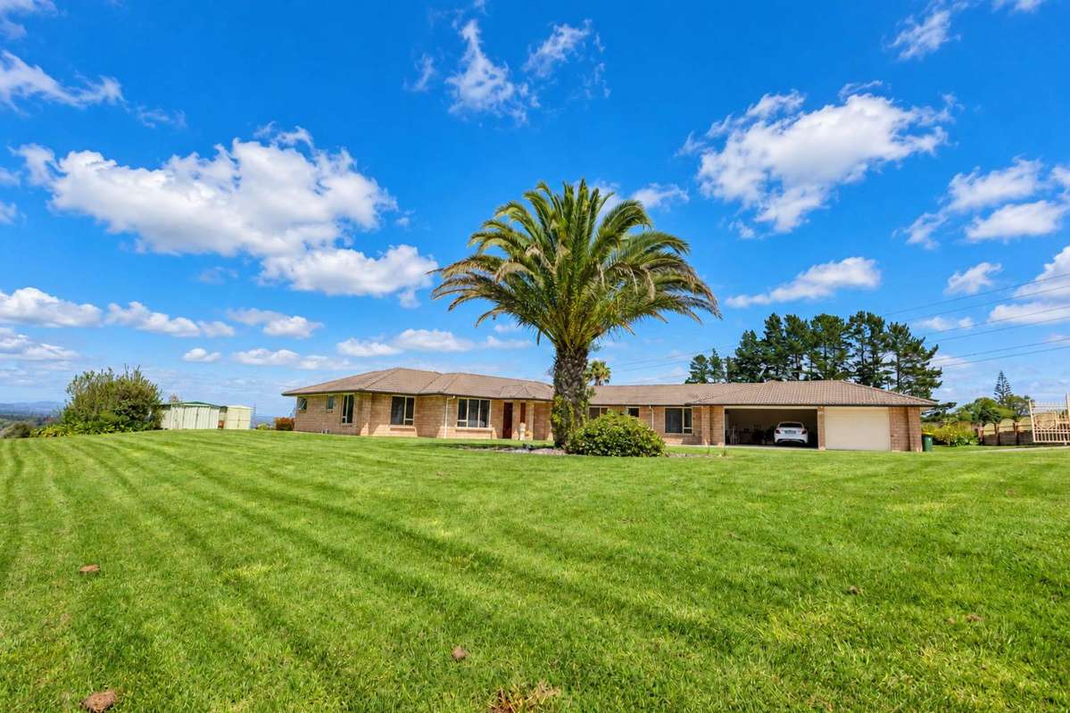 167 Polo Prince Drive_0