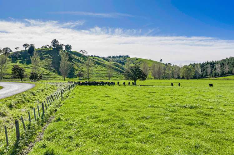 683 Bush Road Wallingford_46