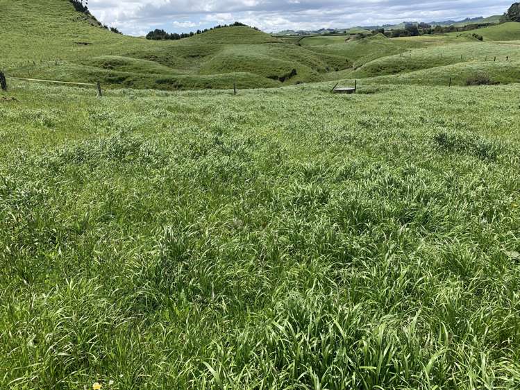 678 Bird Road Stratford_8