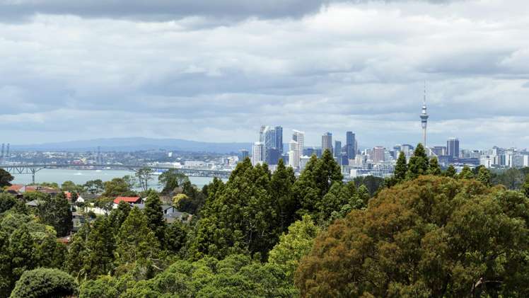 50 Balmain Road Chatswood_39