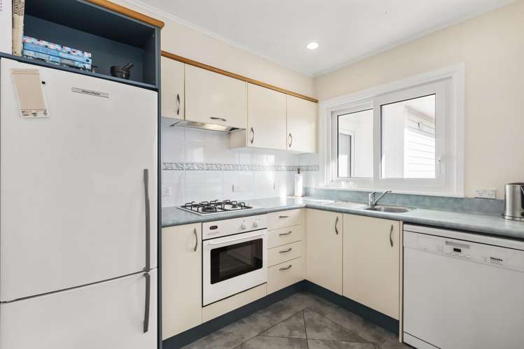 11 Diane Grove Paparangi_6