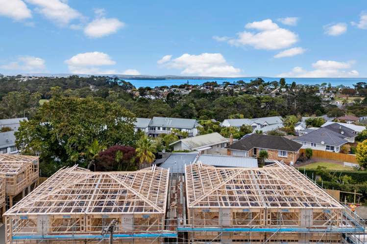 12 Taupo Street Green Bay_21