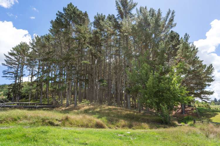 75 Old Parua Bay Road Parahaki_33