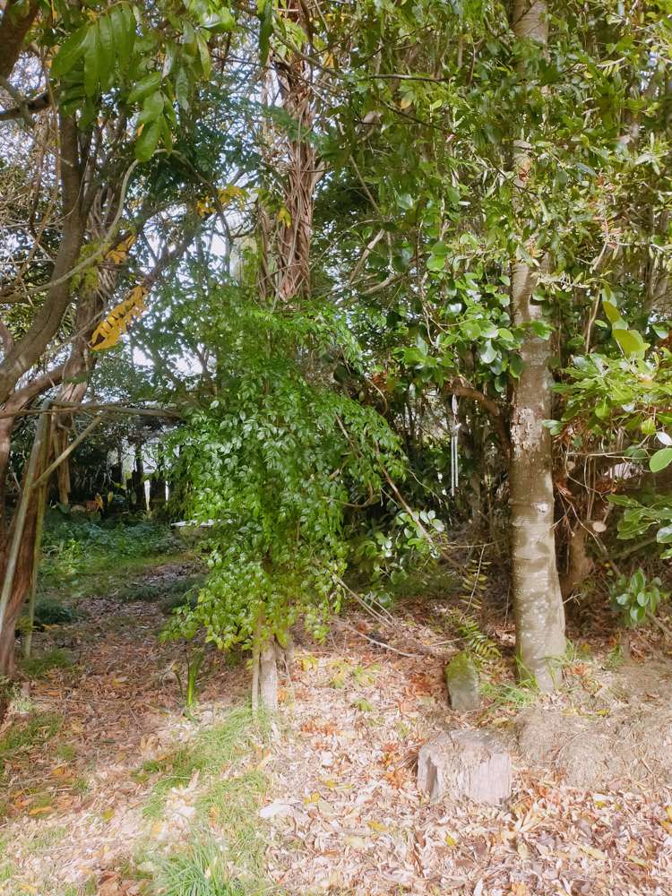 88 Montrose Road Waihi_11