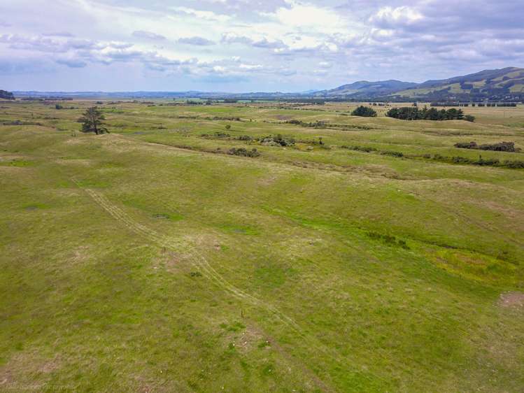 Takahe Street Masterton_9