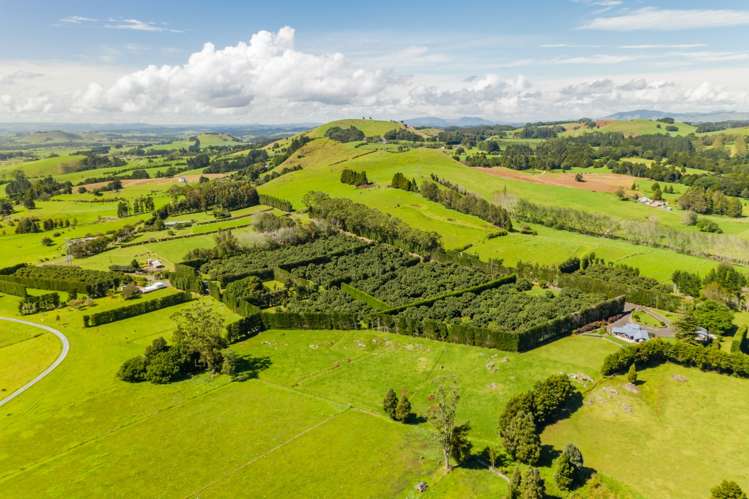 168 Hariru Road Ohaeawai_17