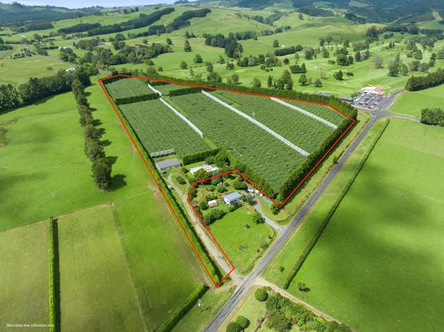 79 Woodlands Road Waihi_4