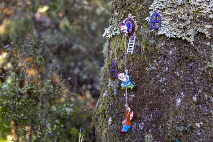 7 Mead Lane Ohakune_26