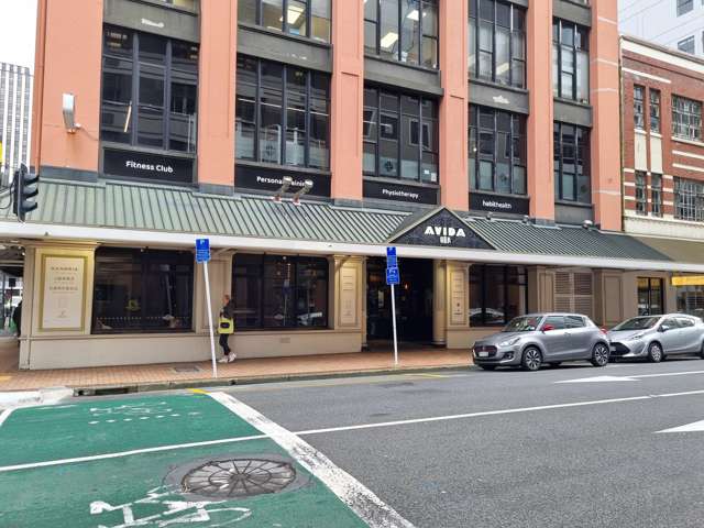 24 Johnston Street Central Wellington Central_1