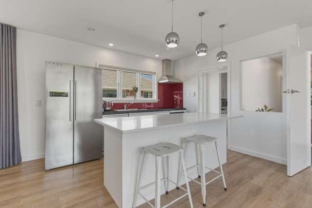 46 Colman Avenue Sockburn_4