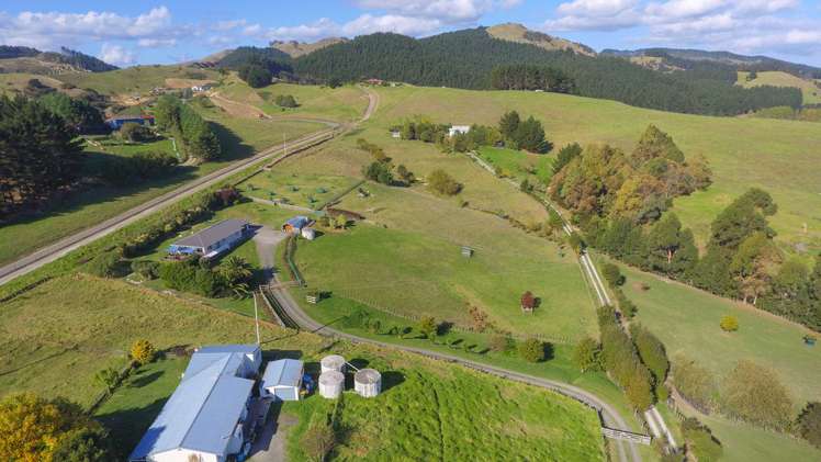 2992 Kaipara Coast Highway Glorit_17