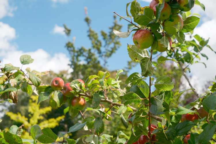 172 Dalbeth Road Hamurana_42