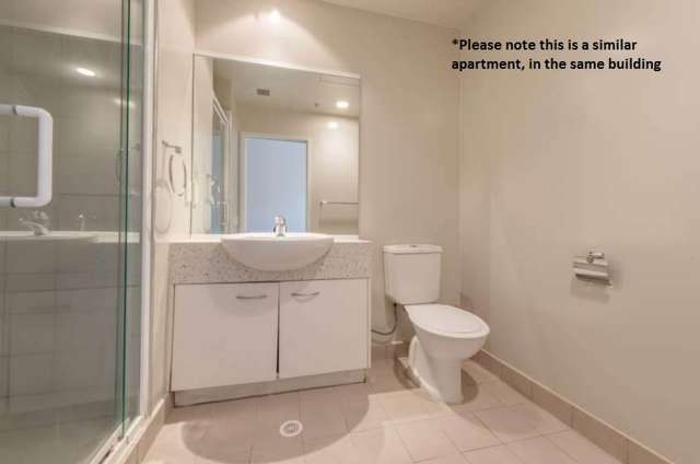 gd/11 Charlotte Street Eden Terrace_2