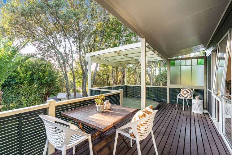 17 Hydra Place Glen Eden_6