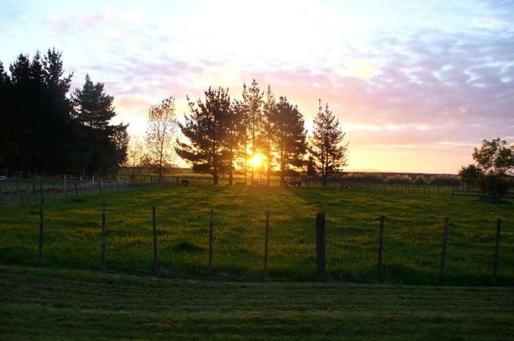 3483 Kaipara Coast Highway Glorit_23