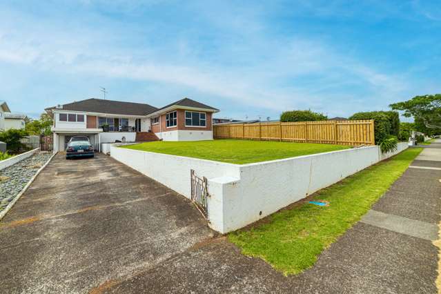 107 Seddon Street Pukekohe_1