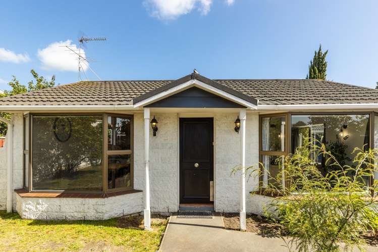 116A Maxwell Road Blenheim_14