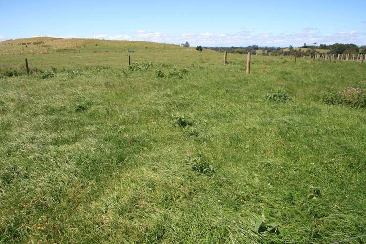 354 Paraite Road Paraite_9