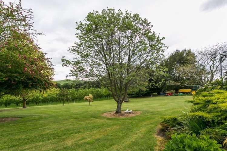 233 Te Mahanga Road Poukawa_18