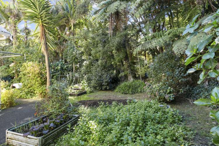4 York Road Titirangi_16