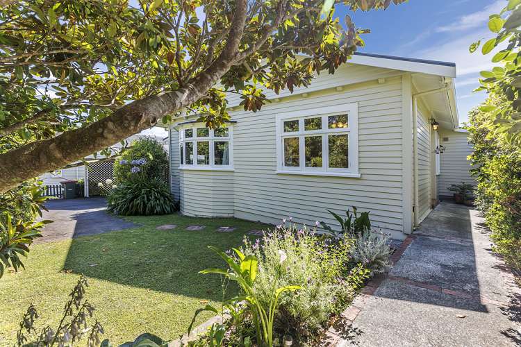 77 Beauchamp Street Karori_19