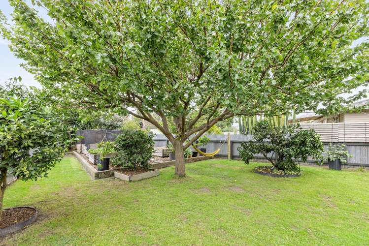 3 Dockery Avenue Onekawa_15