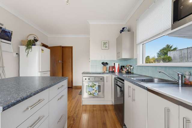 194 Parsons Street Tawhero_4