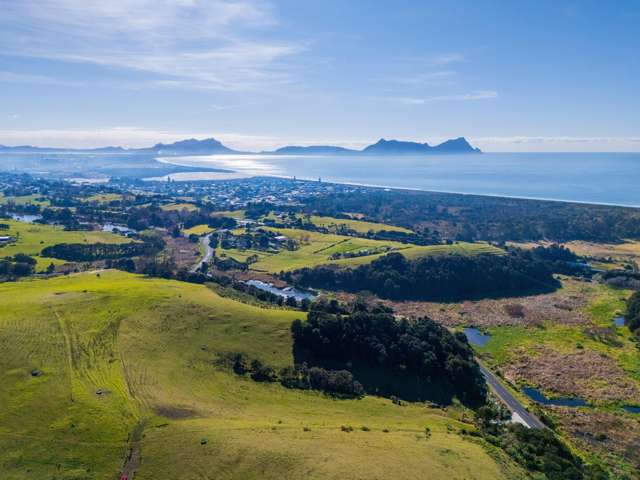 Views over Ruakaka