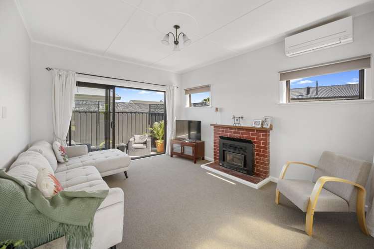 173 Guppy Road Taradale_3
