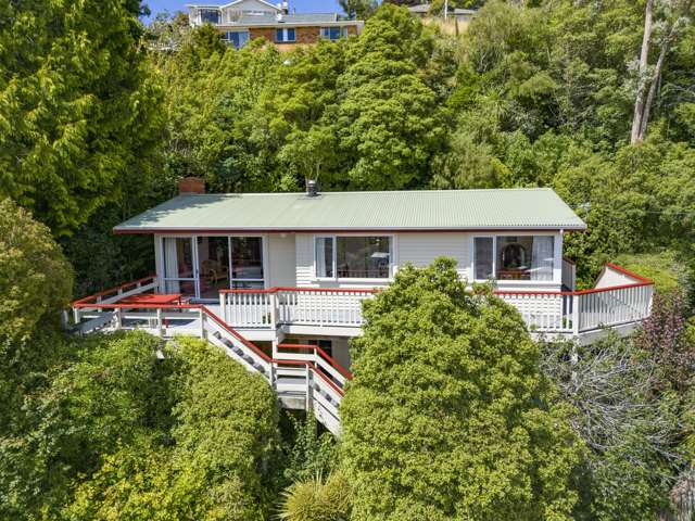 43 Falcon Street Kaikorai_1