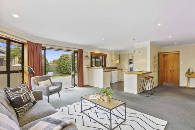 227 Forbury Road Saint Clair_3