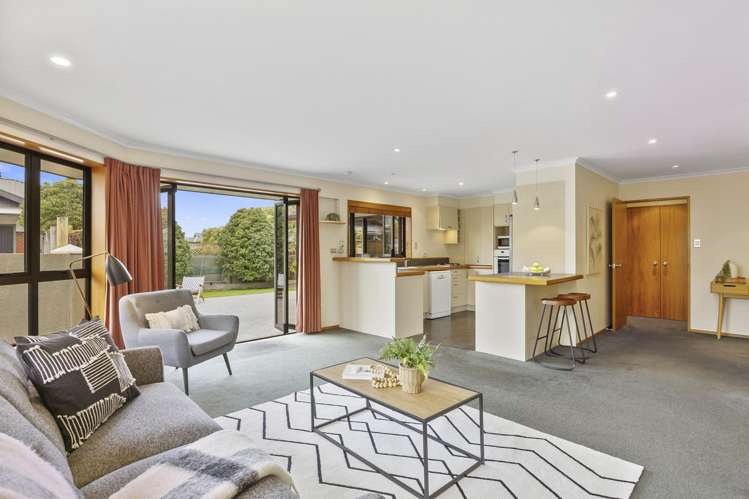 227 Forbury Road Saint Clair_3