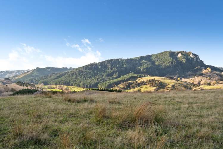 5 Manawa Road Tinui_15