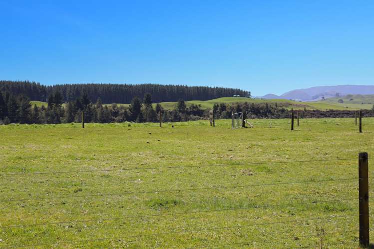 31 Tia Street Atiamuri_21