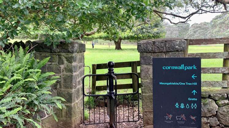 1/48 Turama Road Royal Oak_10